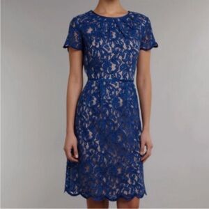 Adrianna Papell Royal Blue Lace Midi Dress